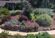 Drought Tolerant Landscapes