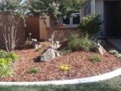 Andrews front yard 2018