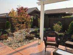 Zellhart back yard
