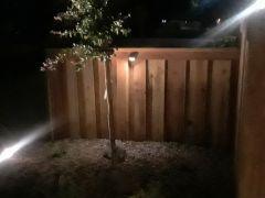 board on board fencing with lighting