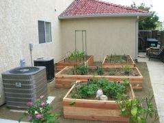 full kitchen garden