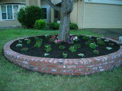 raised brick tree surround
