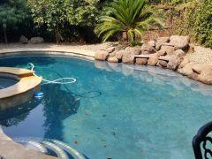 updating the pool and yard together