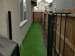 artificial turf side yard dog run