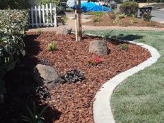 bordisso front yard makeover