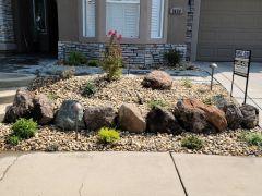 front yard 001