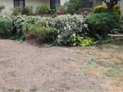 picket fence area before