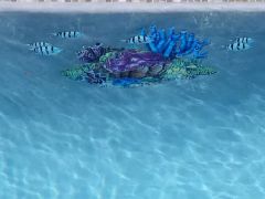pool mural insert 