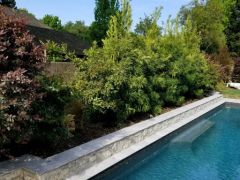 pool wall long shot
