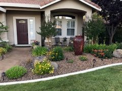 roseville after 1 year  2
