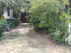 shared side yard before