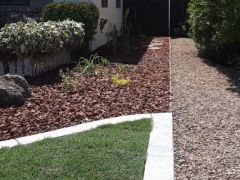 shared side yard view