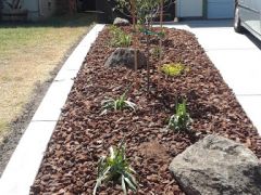 side yard