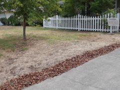 tamu yard before