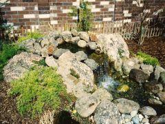 Ponds  142  424