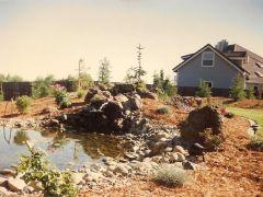 Ponds  146  428
