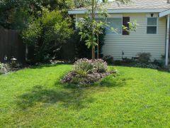 Kresh refurbished lawn