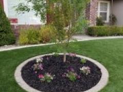 artificial turf detail