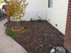 Kresh backyard before
