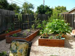 Kresh garden with raised beds