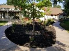 beautifying a driveway