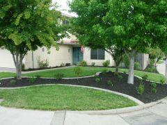 front lawn reno