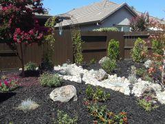 Zellhart backyard 2018   Copy
